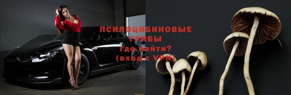твердый Алзамай