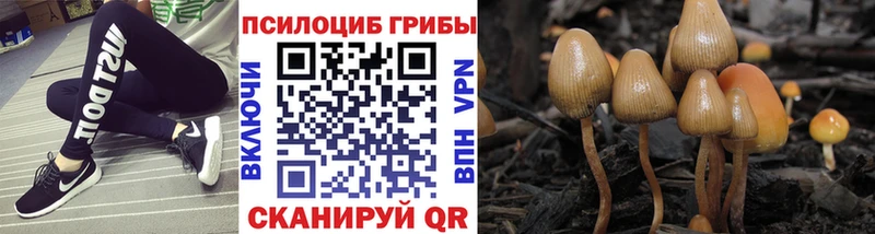 купить наркоту  KRAKEN сайт  Галлюциногенные грибы MAGIC MUSHROOMS  Усмань 